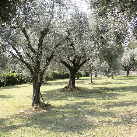 B&B Agli Ulivi Manerba del Garda Exterior photo